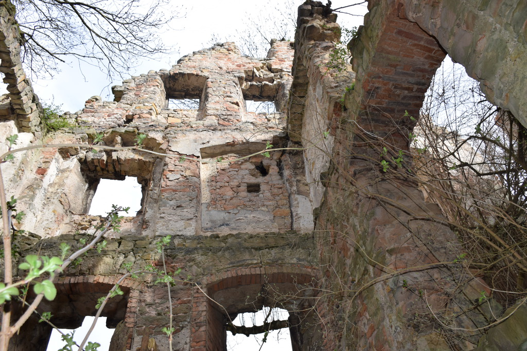 Ruiny renesansowego dworu w Kraszowicach