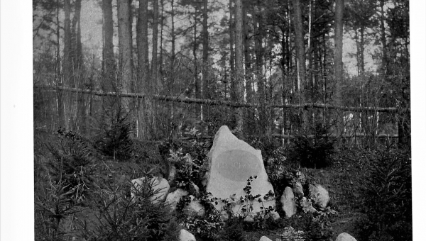 Kamień Eduarda Scholza w Lesie Miejskim