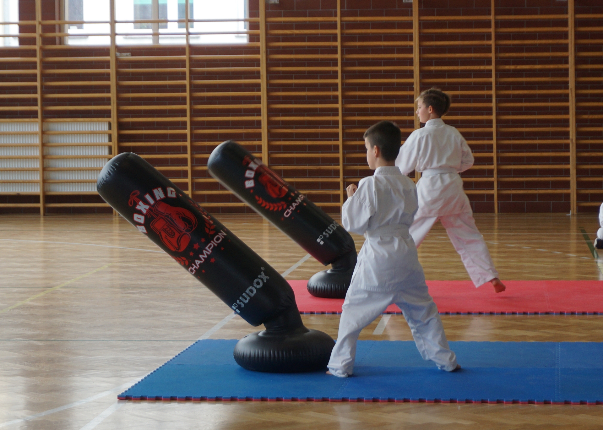 Nowogrodziecka Gala Samuraja w Karate